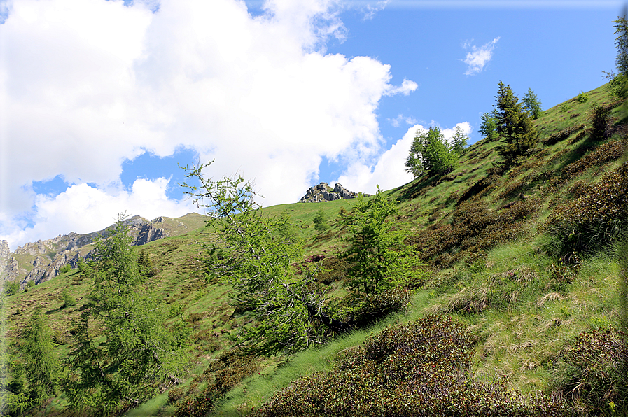 foto Rifugio Brentari